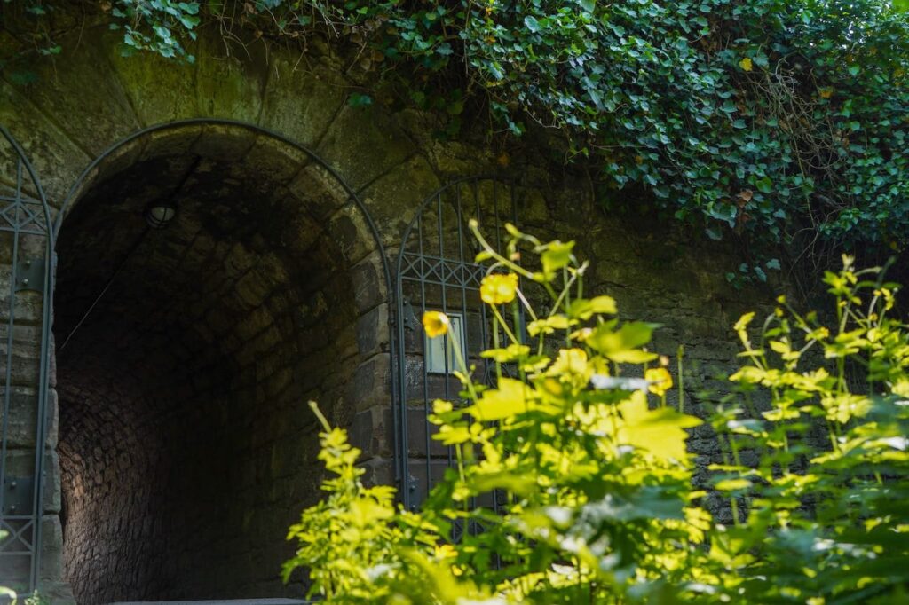 The old city wall is one of the best things to see in Göttingen